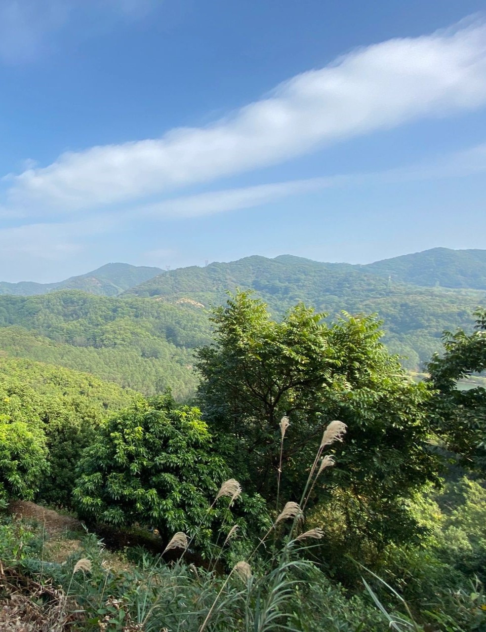 广州户外｜盘点广州市区经典爬山线路｜收藏