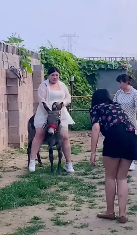 这是哪个村的妇女主任呀？

这体格子扛驴走都没问题

你可真是个人才，这么重，你