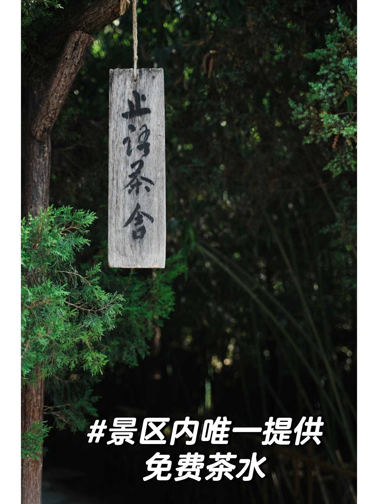 洛阳白马寺超全游览拍照攻略