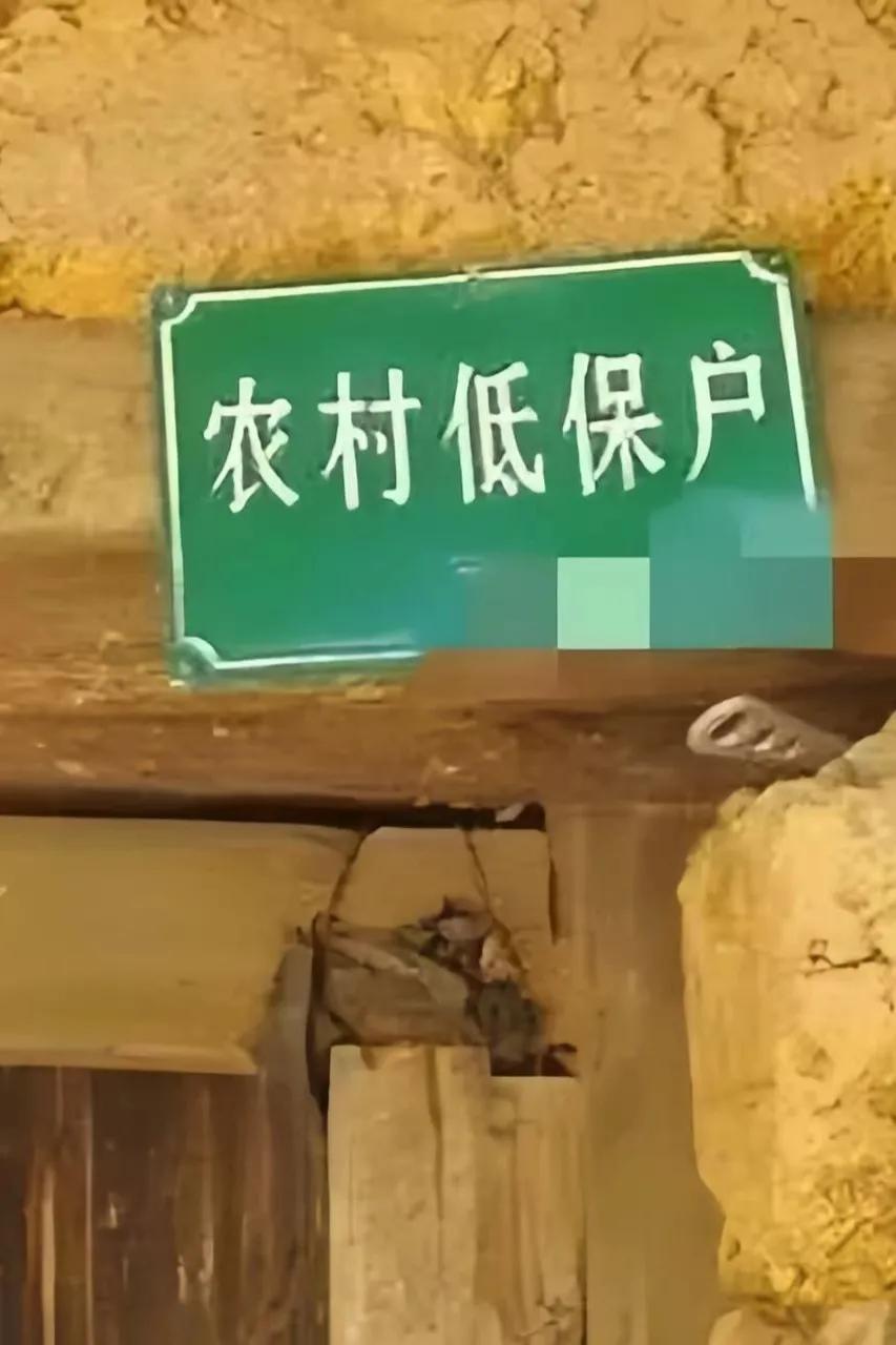 村里突然取消了一家低保户的补助，原因是一次突然的暗访，这次暗访不寻常，没有提前通