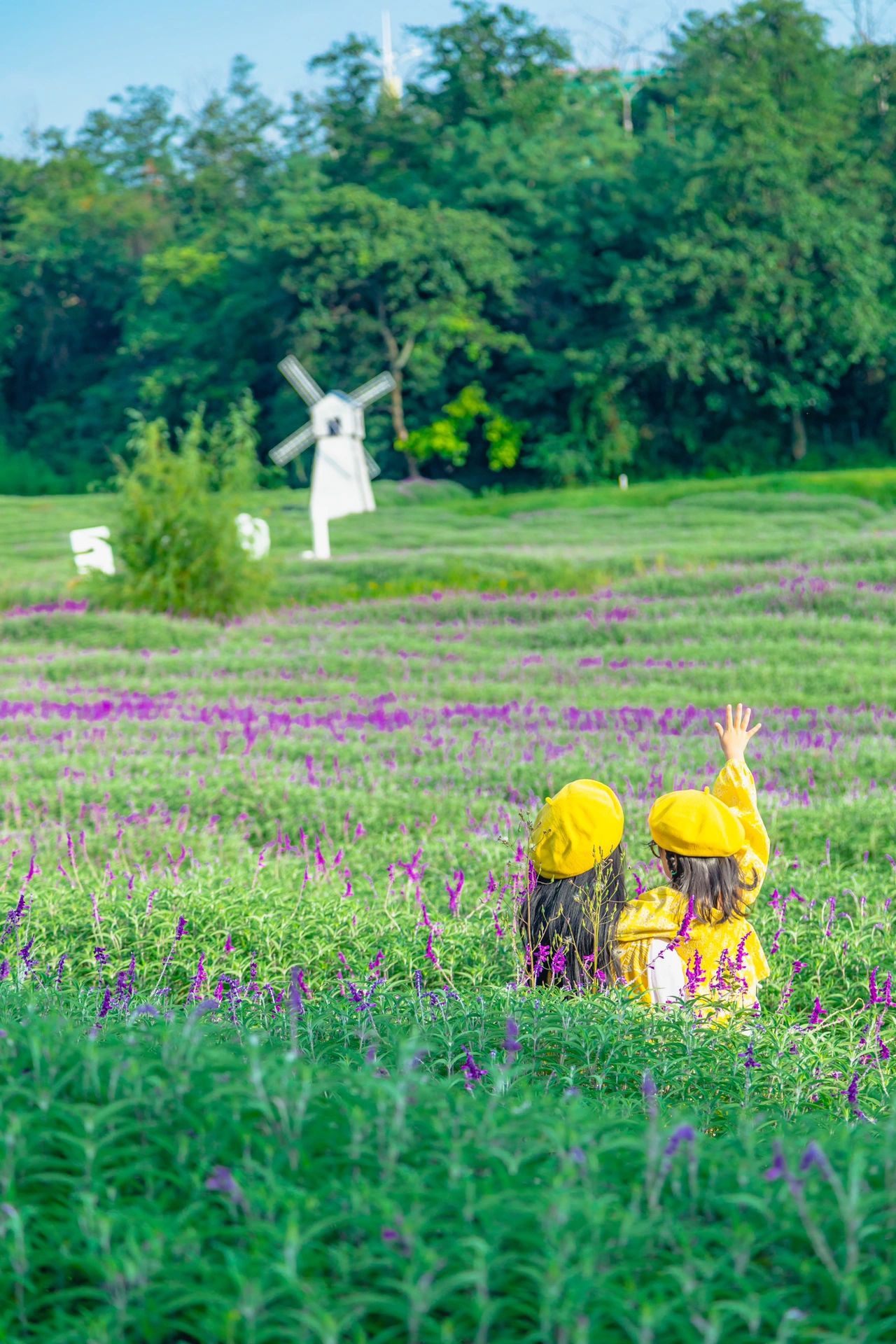 快去，普罗旺斯季马上要到来｜亲子旅行