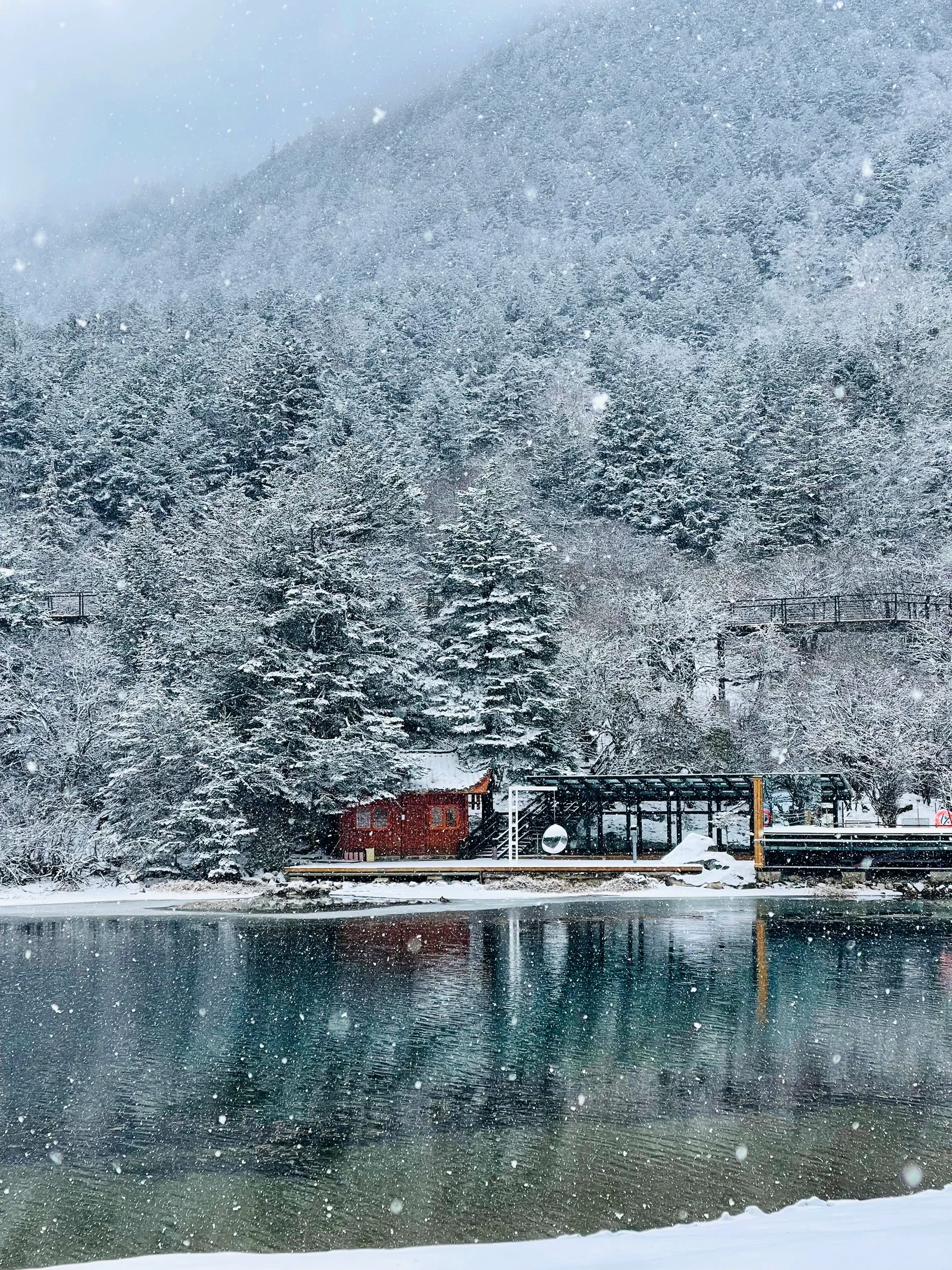 这才是live图的意义❗️川西下大雪啦