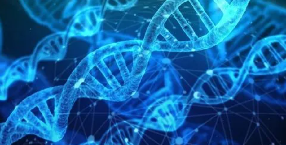 人类最大的bug是知识不能代际遗传。每一个人都必须从0开始学习，把前人在某一个领