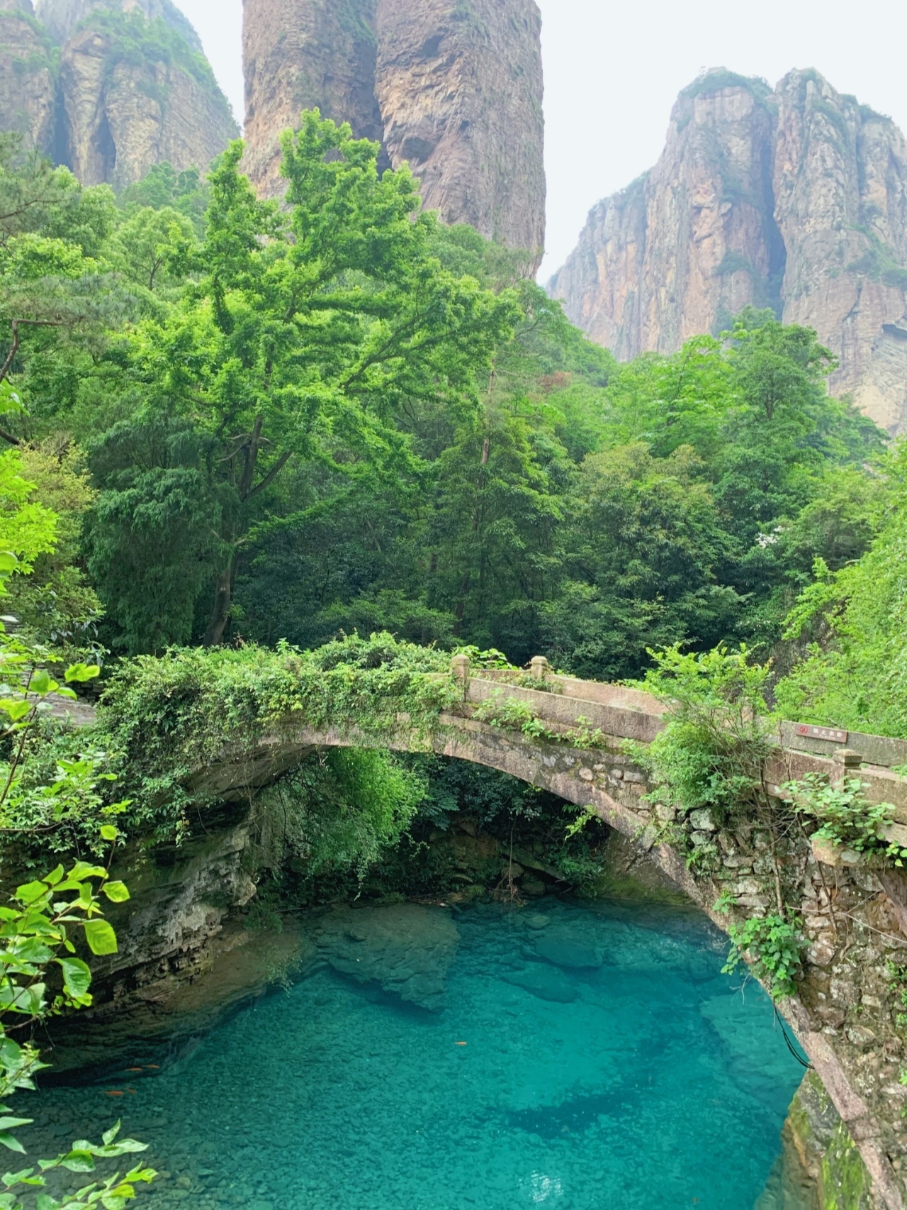 温州·雁荡山一日自驾攻略拍照地分享