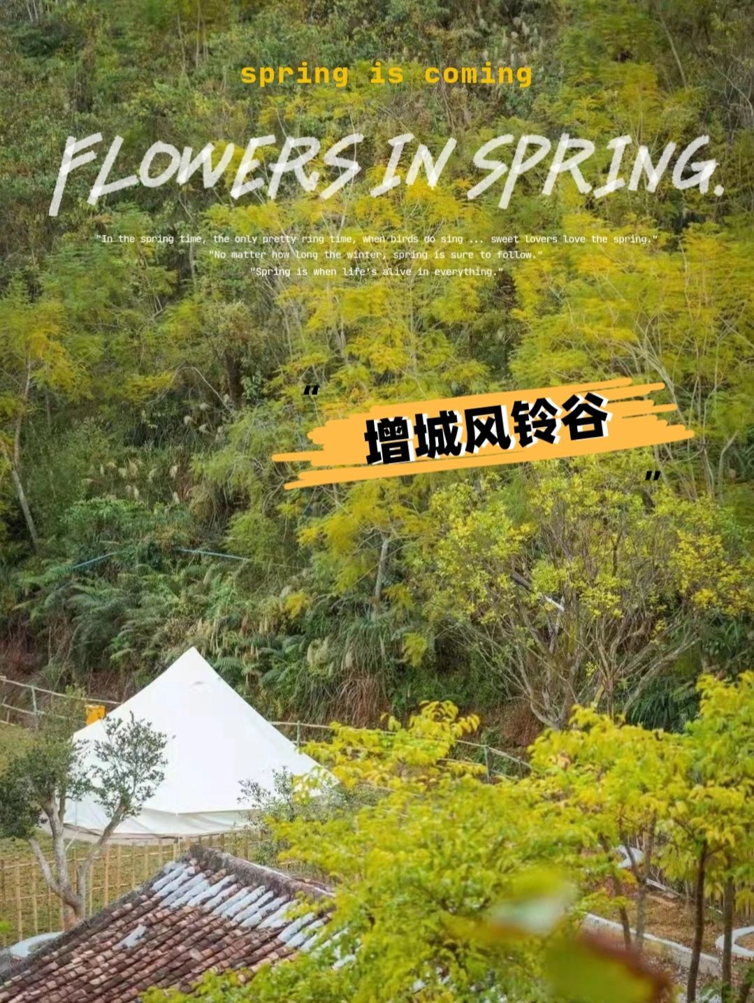 风铃花季赏花 | 增城风铃谷营地