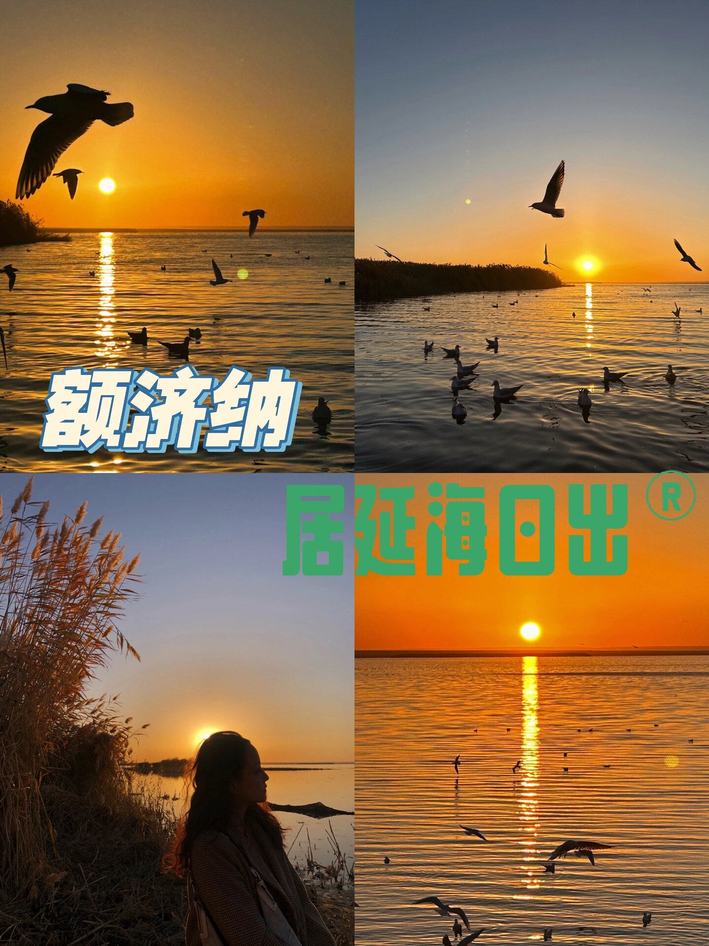 额济纳＊居延海日出