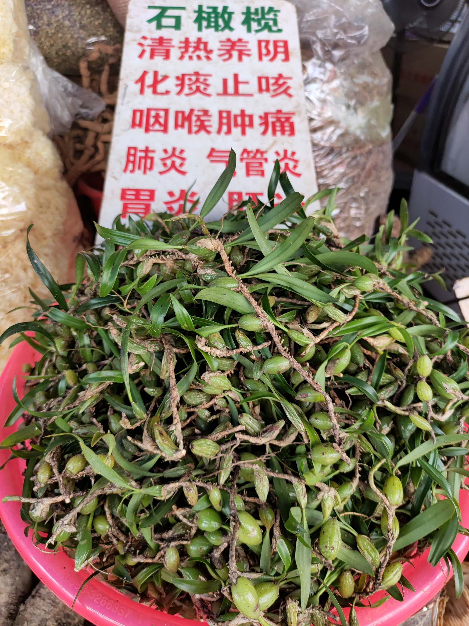 三种石仙桃/石橄榄。

今天凑齐三种石橄榄/石仙桃的照片。早期都是图1图2的小果