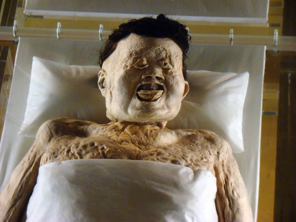 今天在湖南省博物馆待了一天，在辛追夫人（汉代女湿尸）陈列馆的一个小时里，听到了无