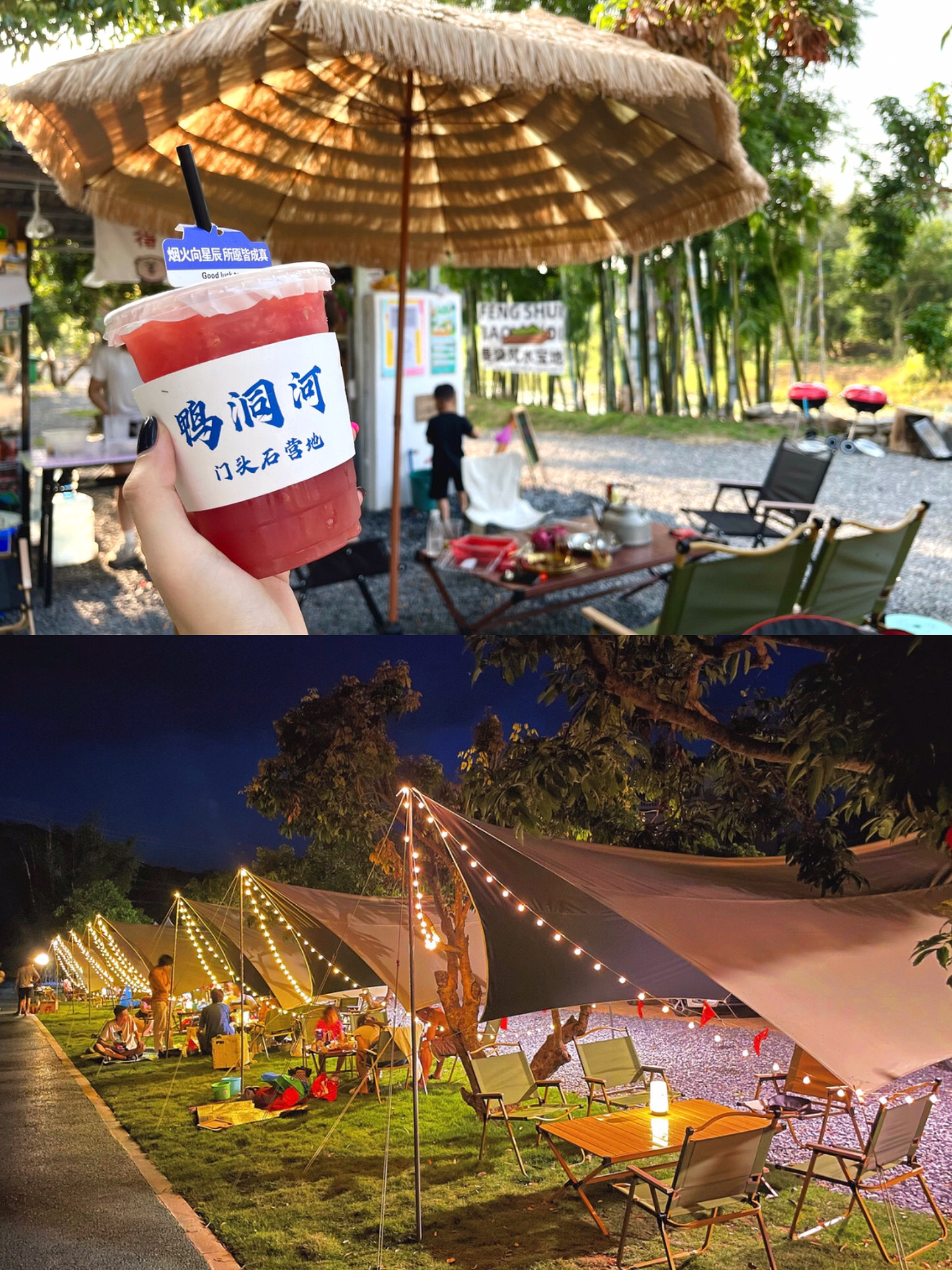 这几个从化露营地⛺️不允许你还不知道