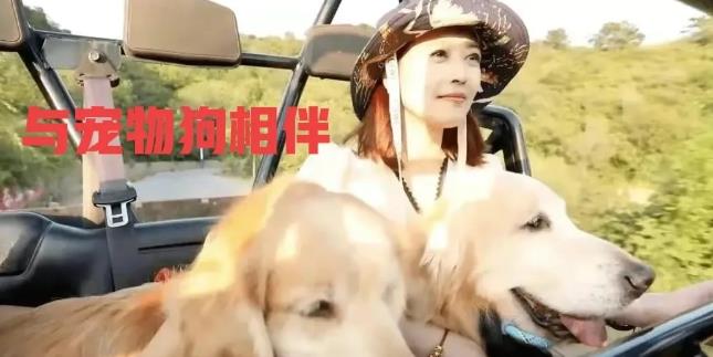 周海媚巨额财富，面临无人继承的尴尬！ 周海媚生前在北京顺义后沙峪区拥有一幢价值上