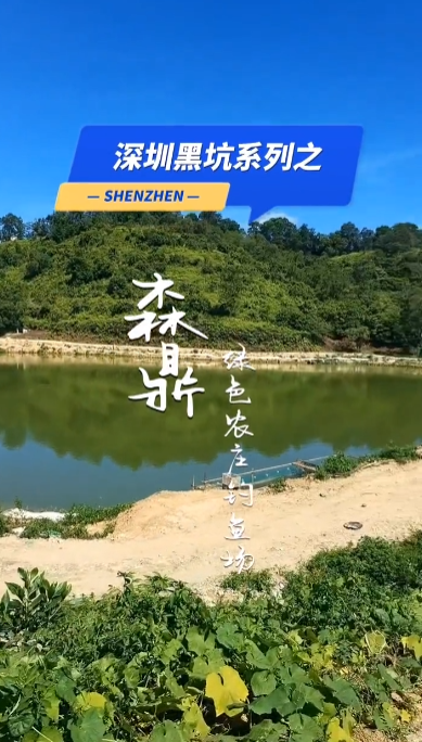 探坑森鼎绿色农庄钓鱼场