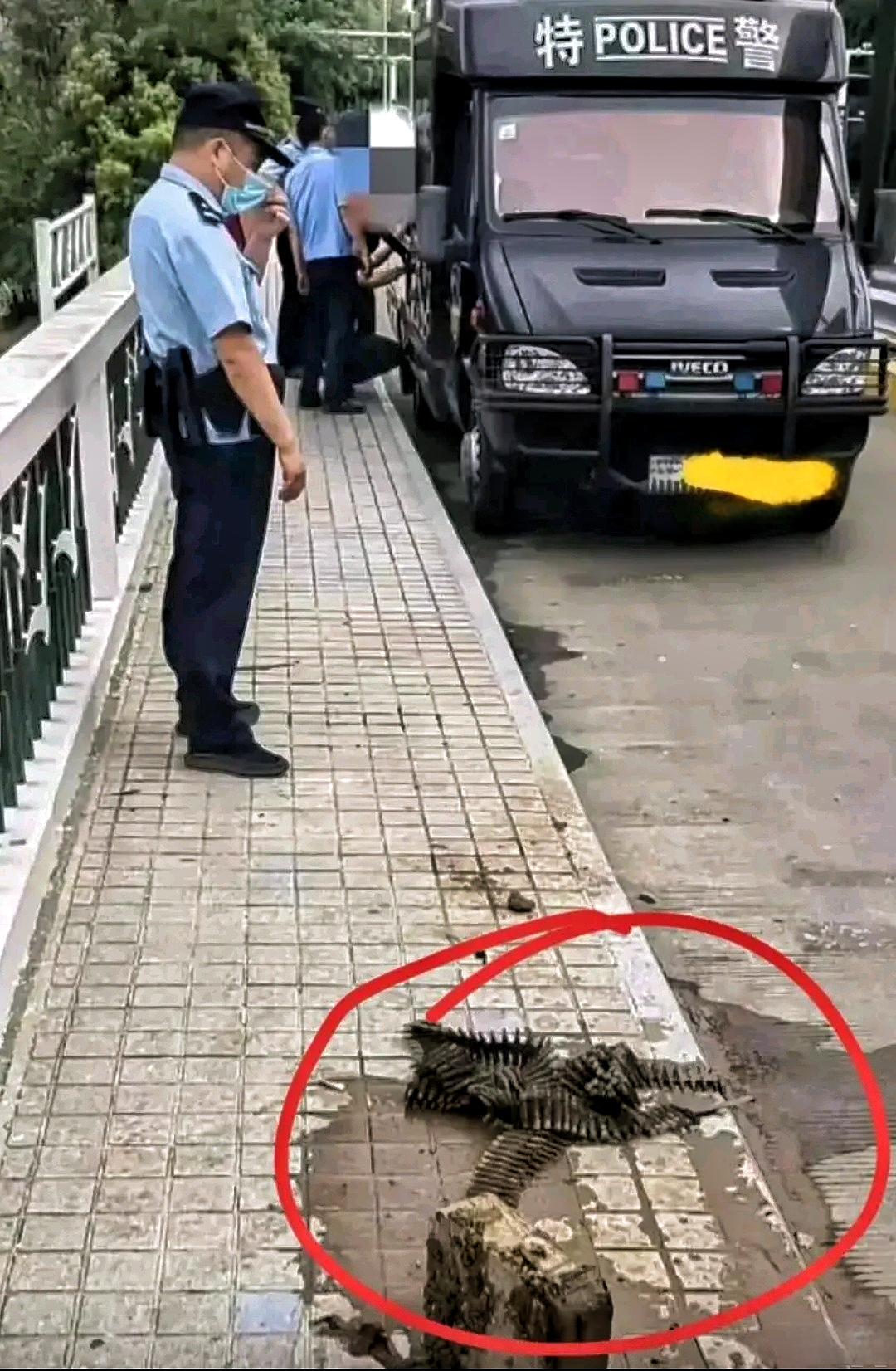有钓友钓上来一串这东西，把特警都招来了！
