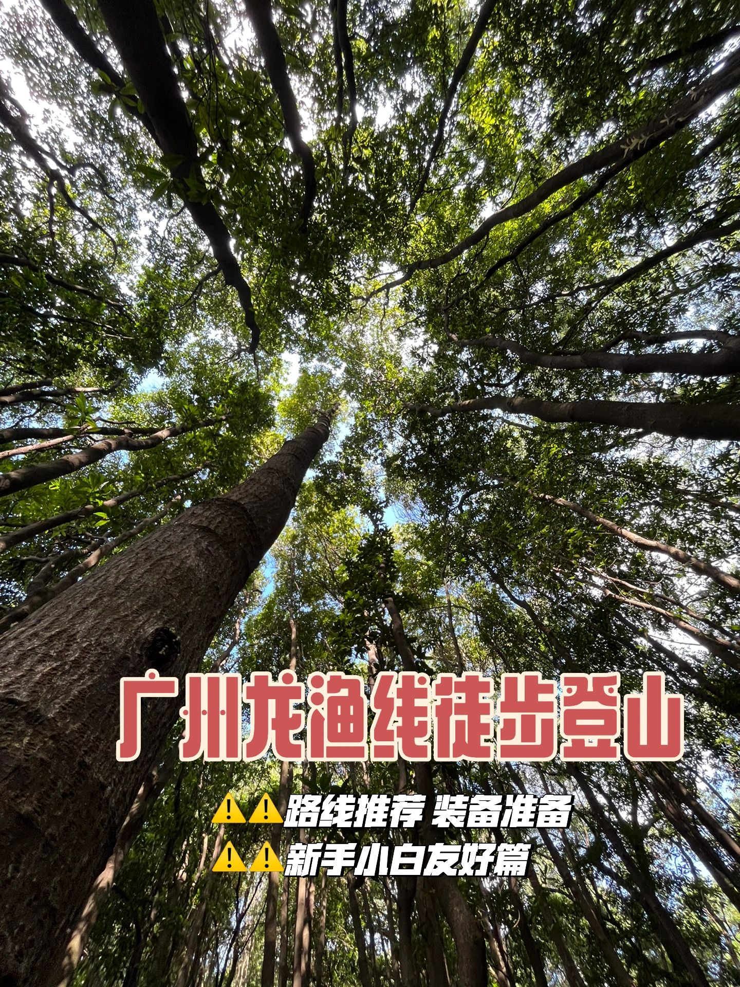 广州登山徒步龙渔线（小白友好篇）