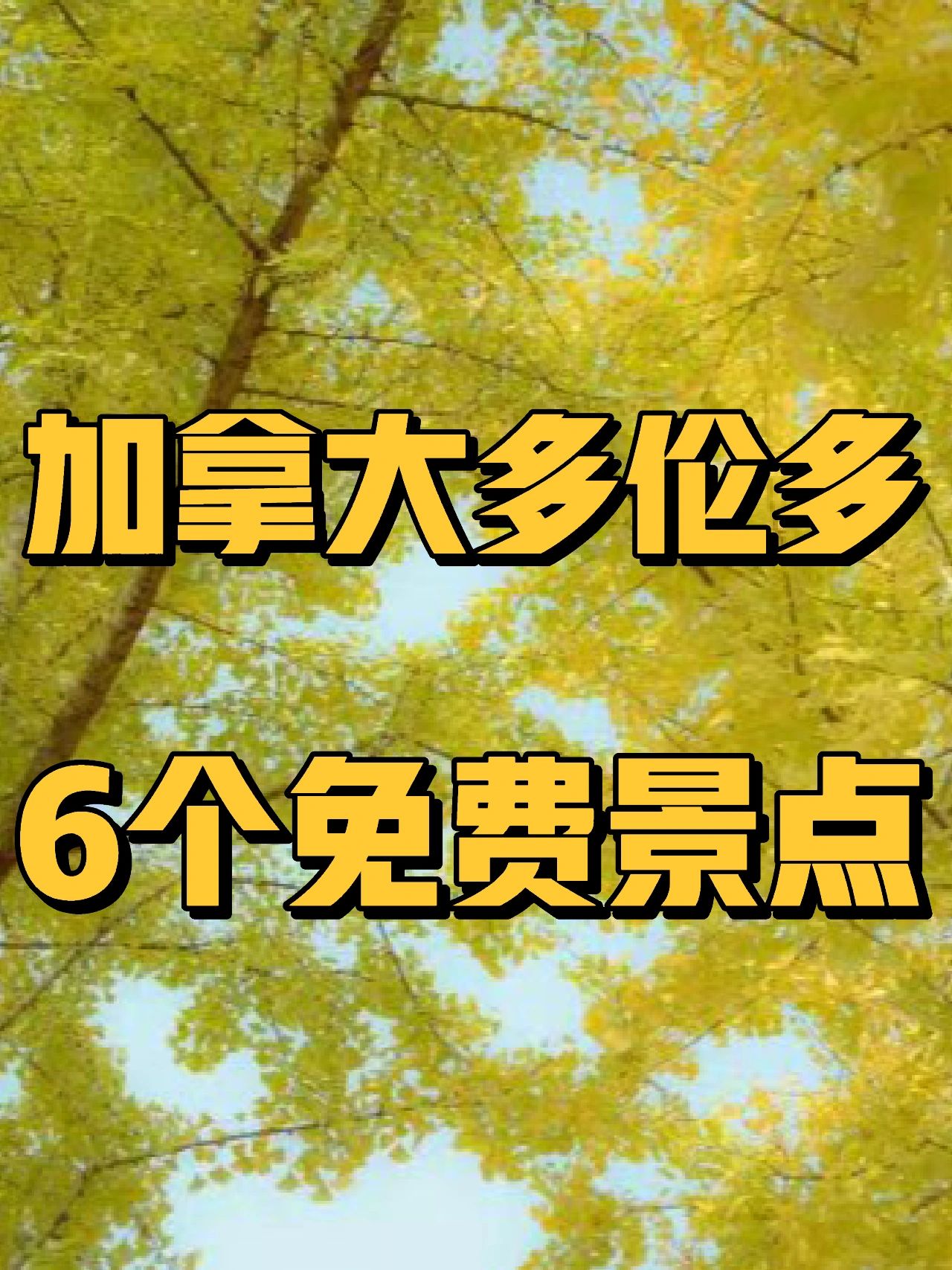 加拿大多伦多的6大宝藏地