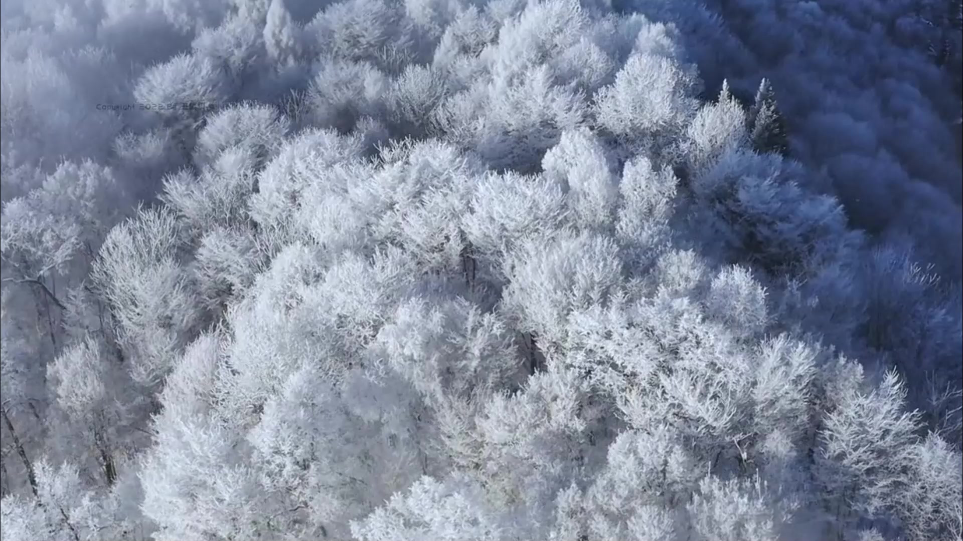 西风夜渡寒山雪，冰雪依稀回忆里