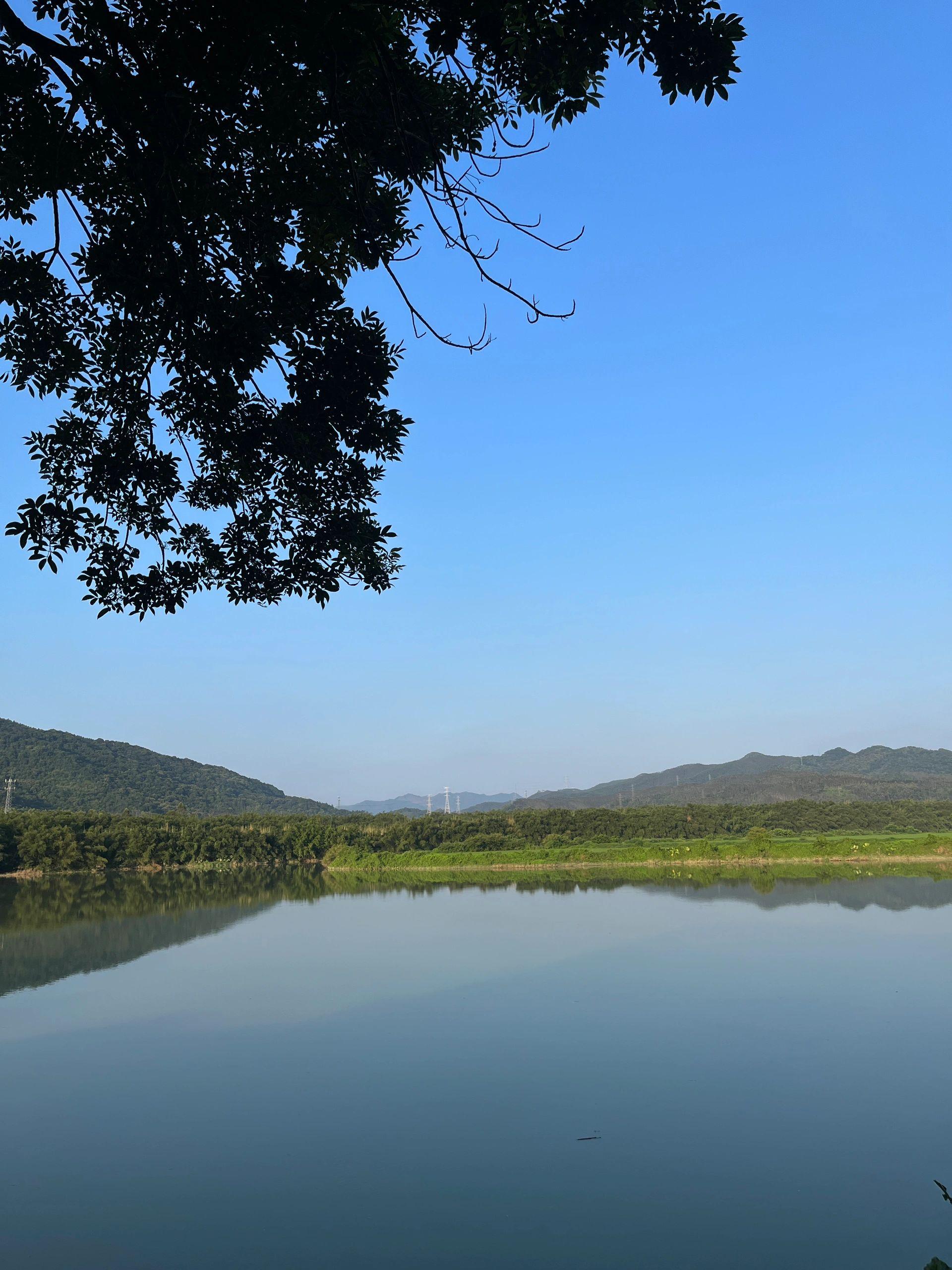 广州周边免费露营地，可开车直达