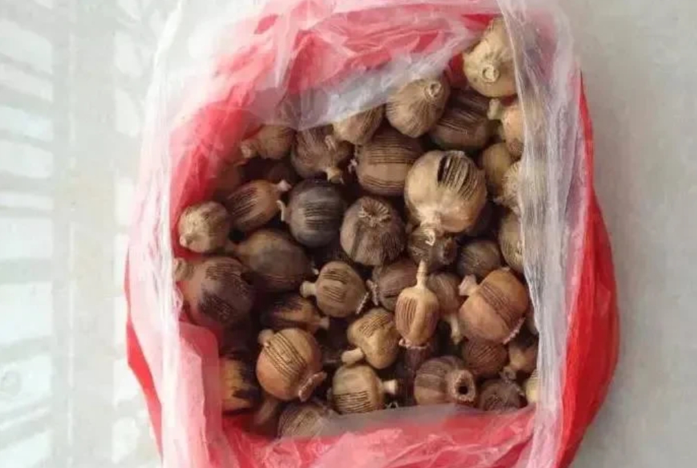 河南濮阳，一男子开了家火锅店，生意却不太好，但他发现对面火锅店，生意却异常火爆。