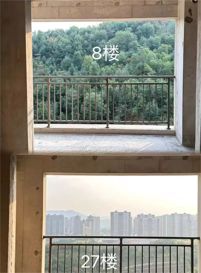 8楼绿化养眼，27楼视野开阔，怎么选？ ​