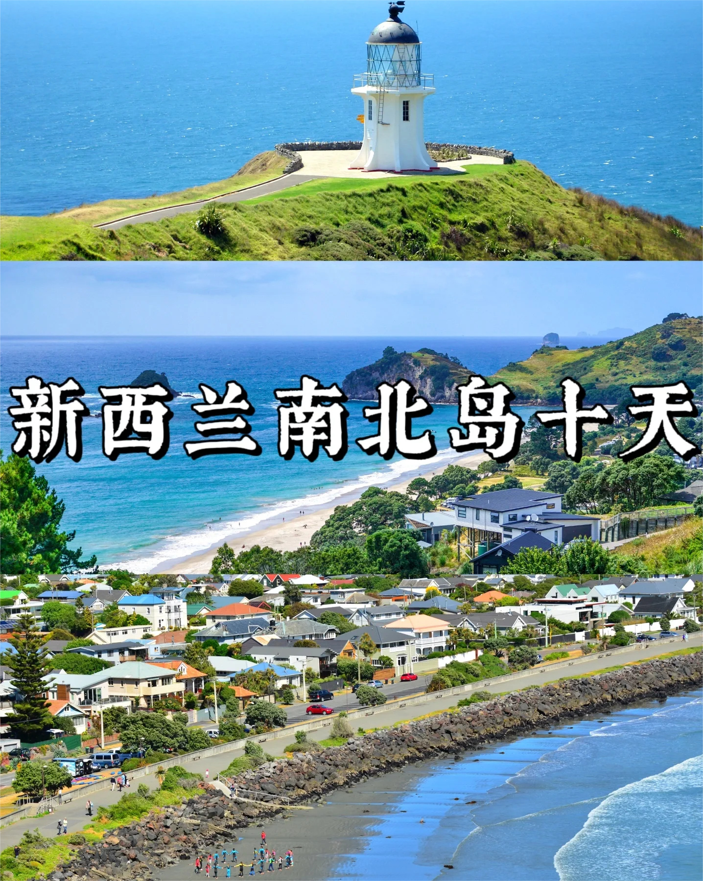 国内出发去新西兰避暑🍃畅玩10天