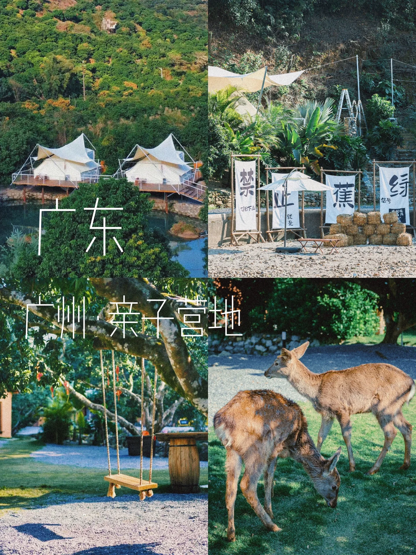 广州亲子营地溯溪玩水、萌宠、采摘均有！