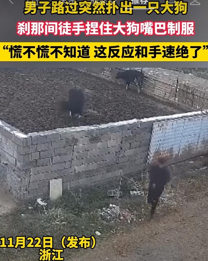 男子路过，突然扑出一只大狗，刹那间徒手捏住大狗嘴巴制服，“慌不慌不知道 这反应和