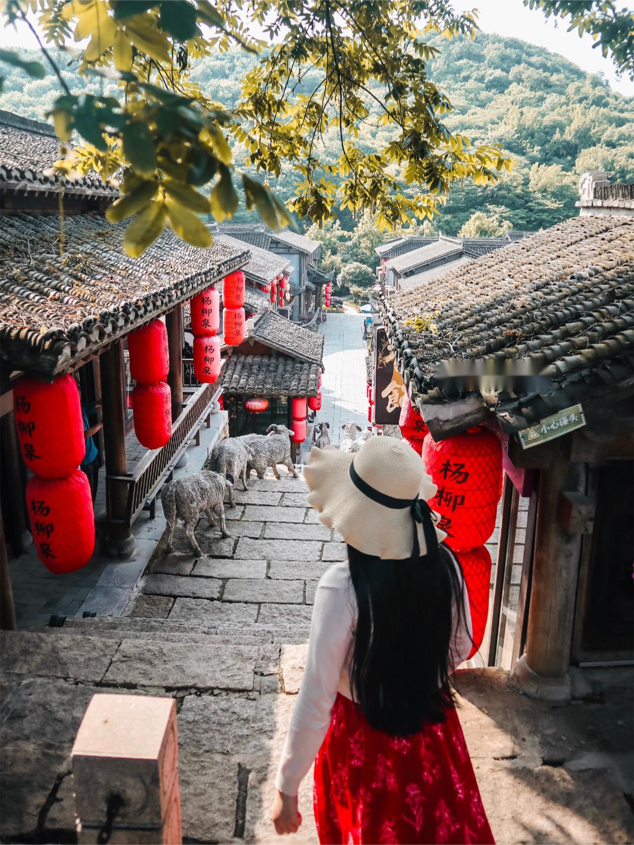 这座森林公园距【南京】仅1小时车程