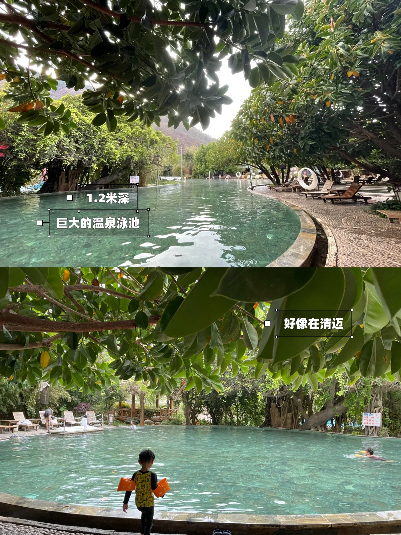 大理温泉｜仿佛置身东南亚｜度假感拉满♨️