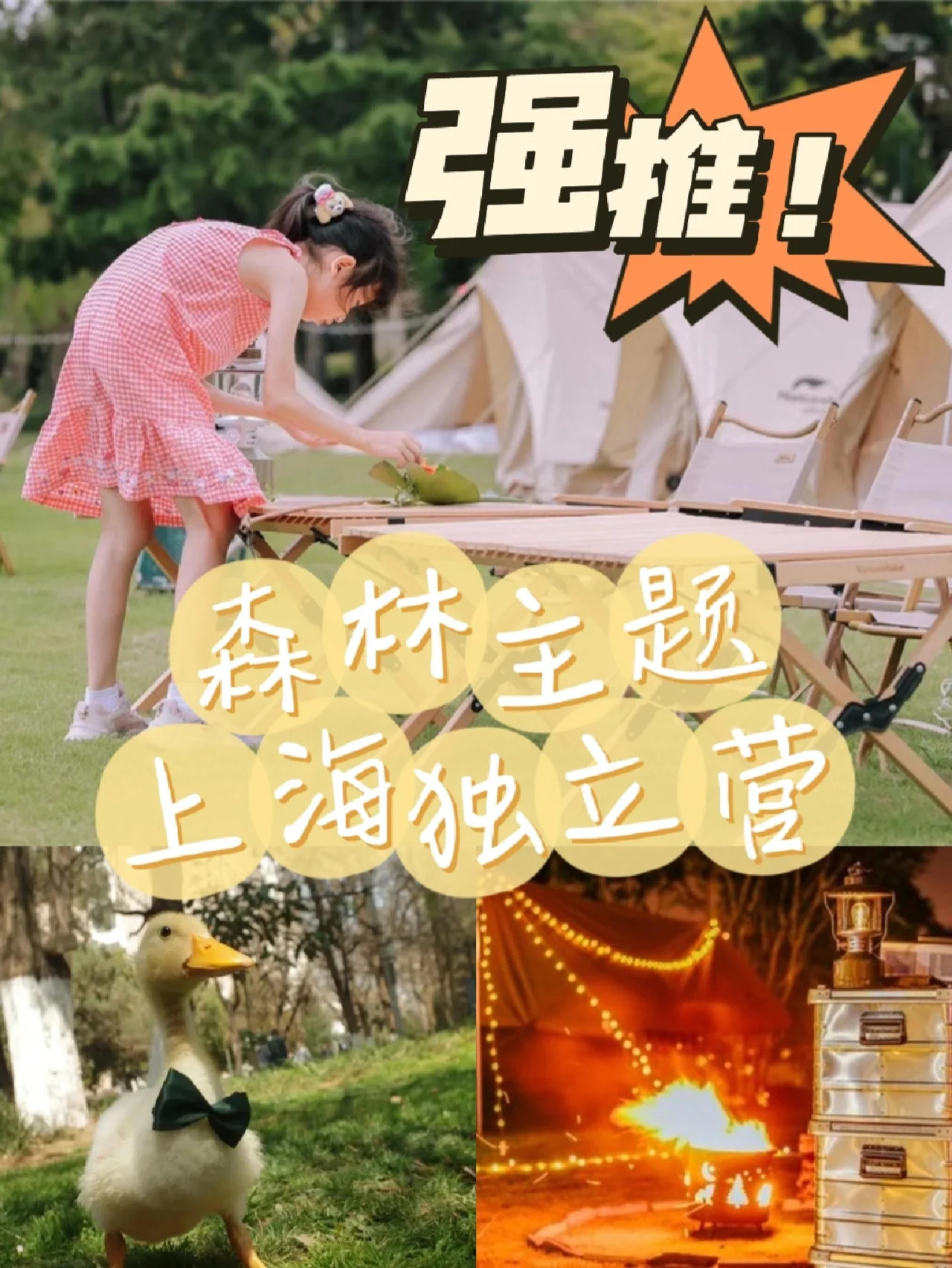 ✨上海森林独立营|🌲在森林童话中成长