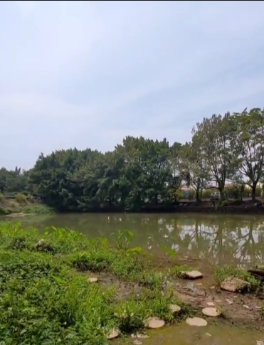 不走水，鱼可以吃的好钓点