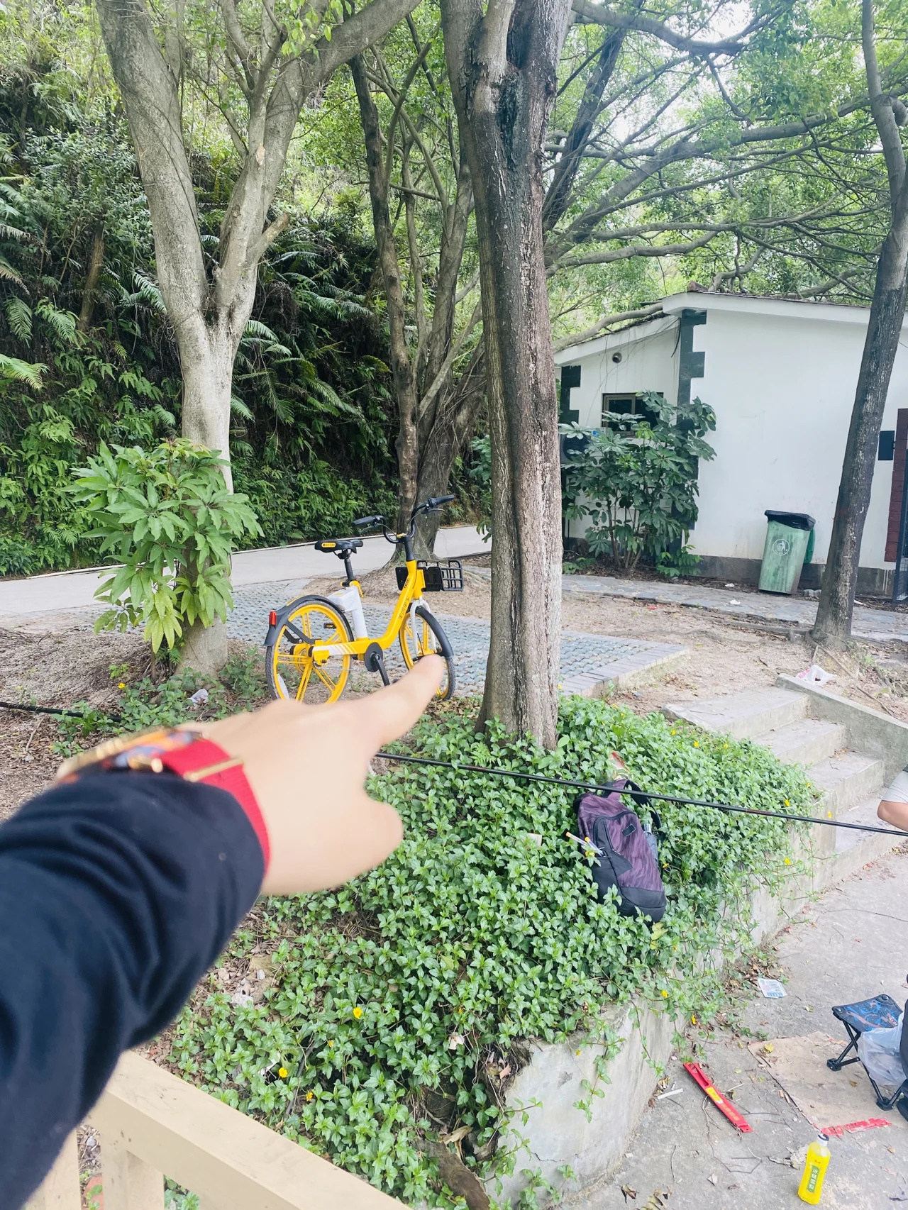被城市藏起来的免费垂钓场