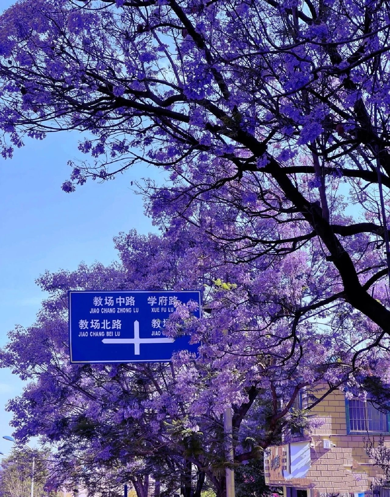 不知道的自贡拍照场地！✅赶紧get！
