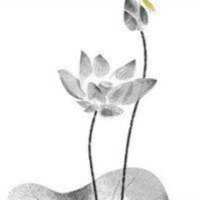 张乐说历史
