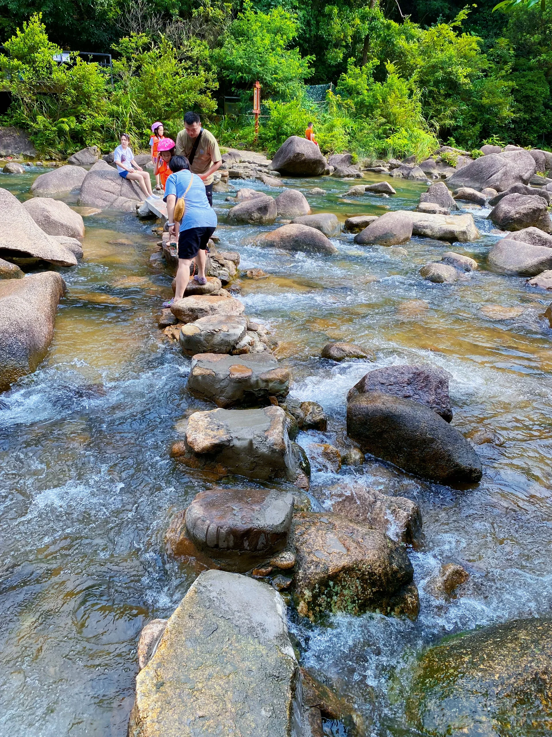 距离广州一小时｜森林瀑布玩水💦溯溪攀岩