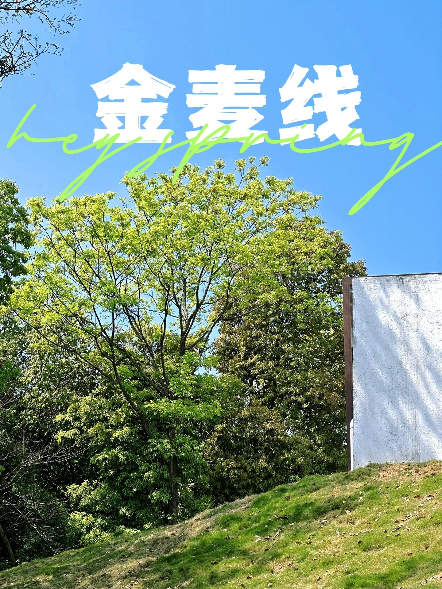广州户外｜金麦线｜油麻山天坑徒步