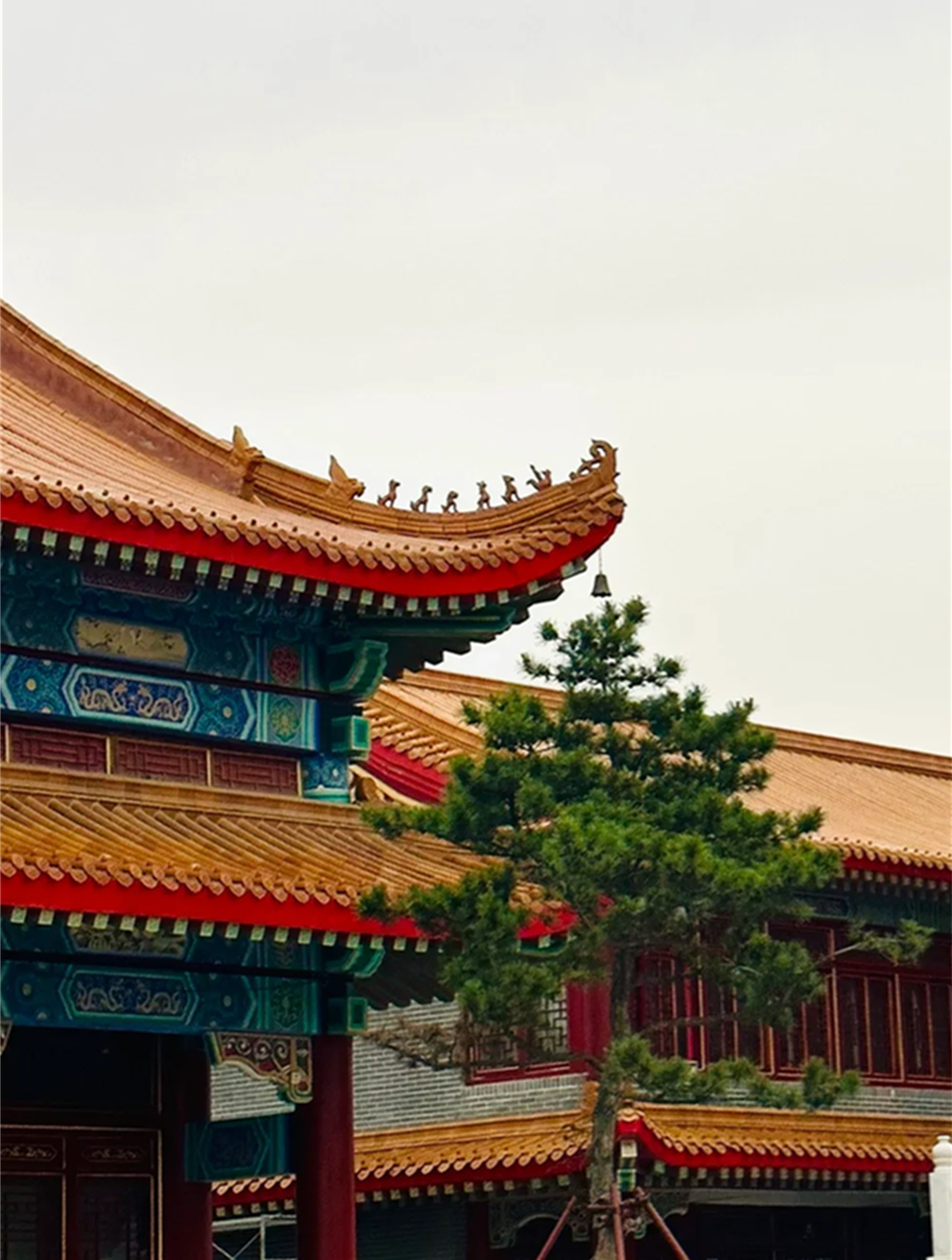 锦州📍小布达拉宫好吃又好玩！