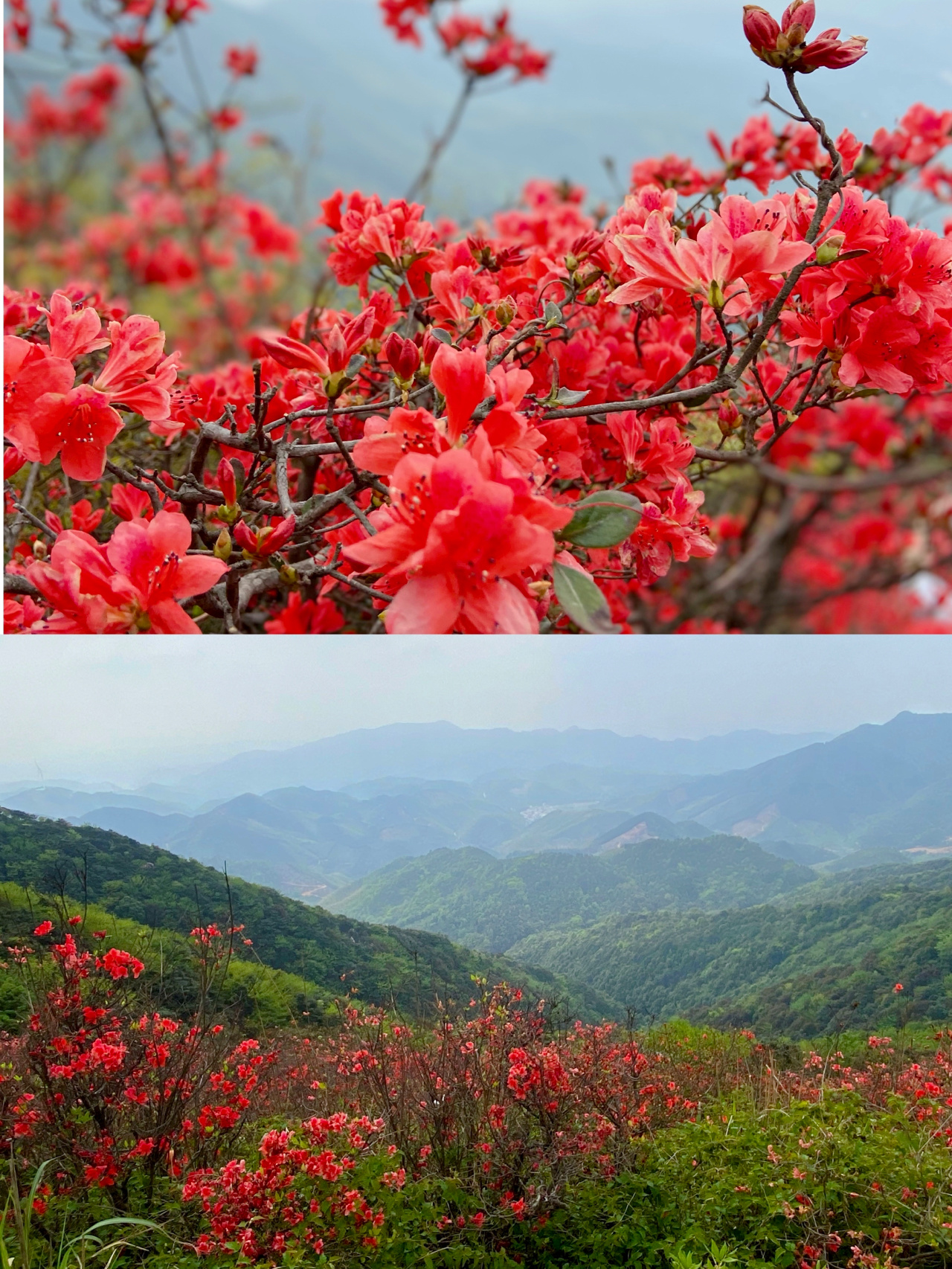 户外｜从化通天蜡烛 从化十登第六高峰