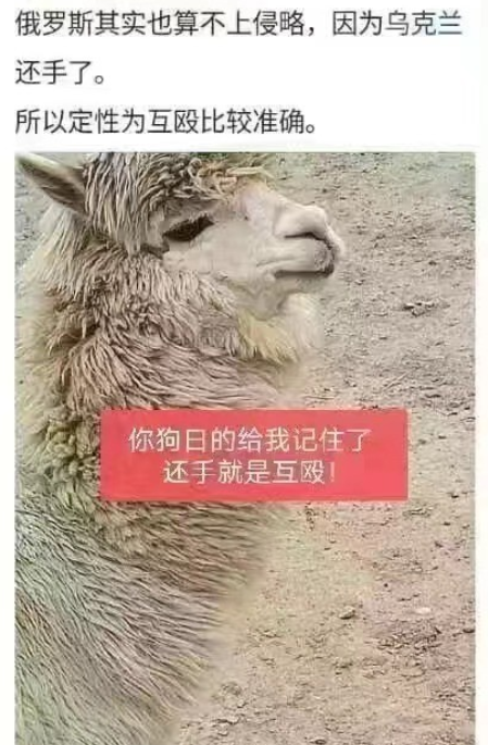 记住了，谁打你也别还手[捂脸]