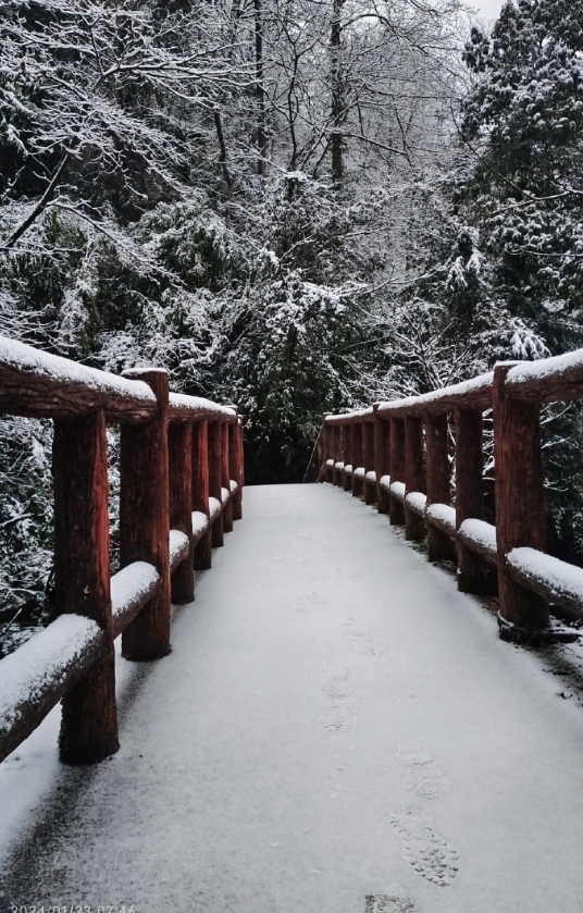 青城后山赏雪 