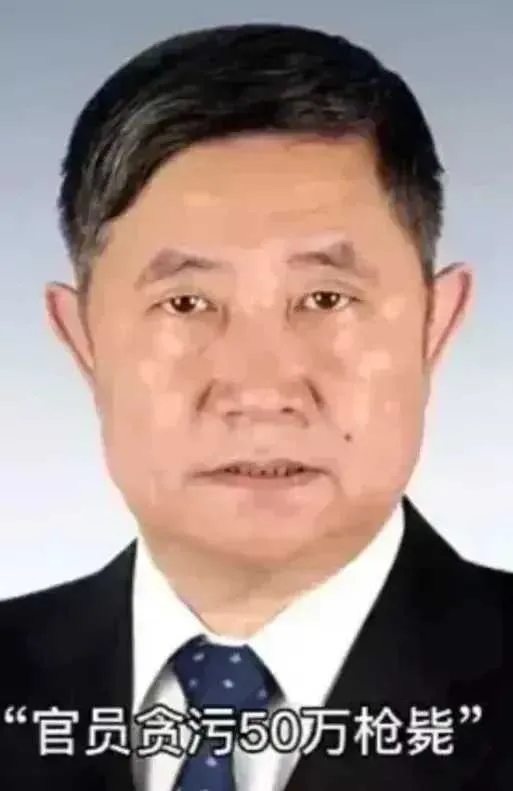 赵润田同志提出“贪污50万元必须判死刑”的建议后，社会陷入了震惊和争议。这一建议