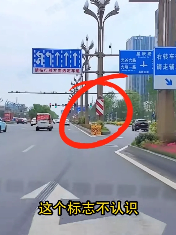 什么路标？这是什么路标？女司机，实在是不好意思，搞不懂了！

