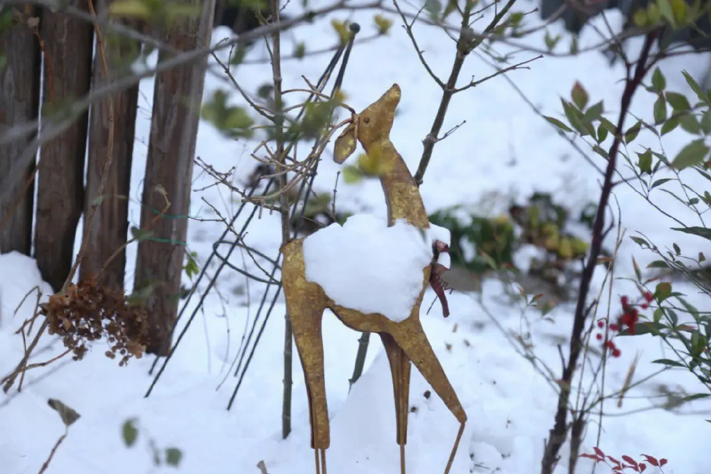 听说，雪是冬天款待我们的一种方式。