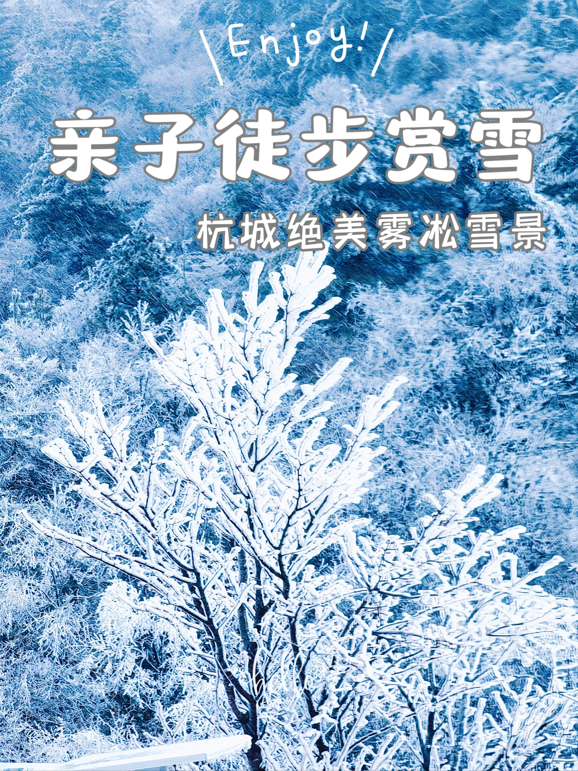 亲子赏雪|别错过❗周末带娃看杭州绝美雾凇