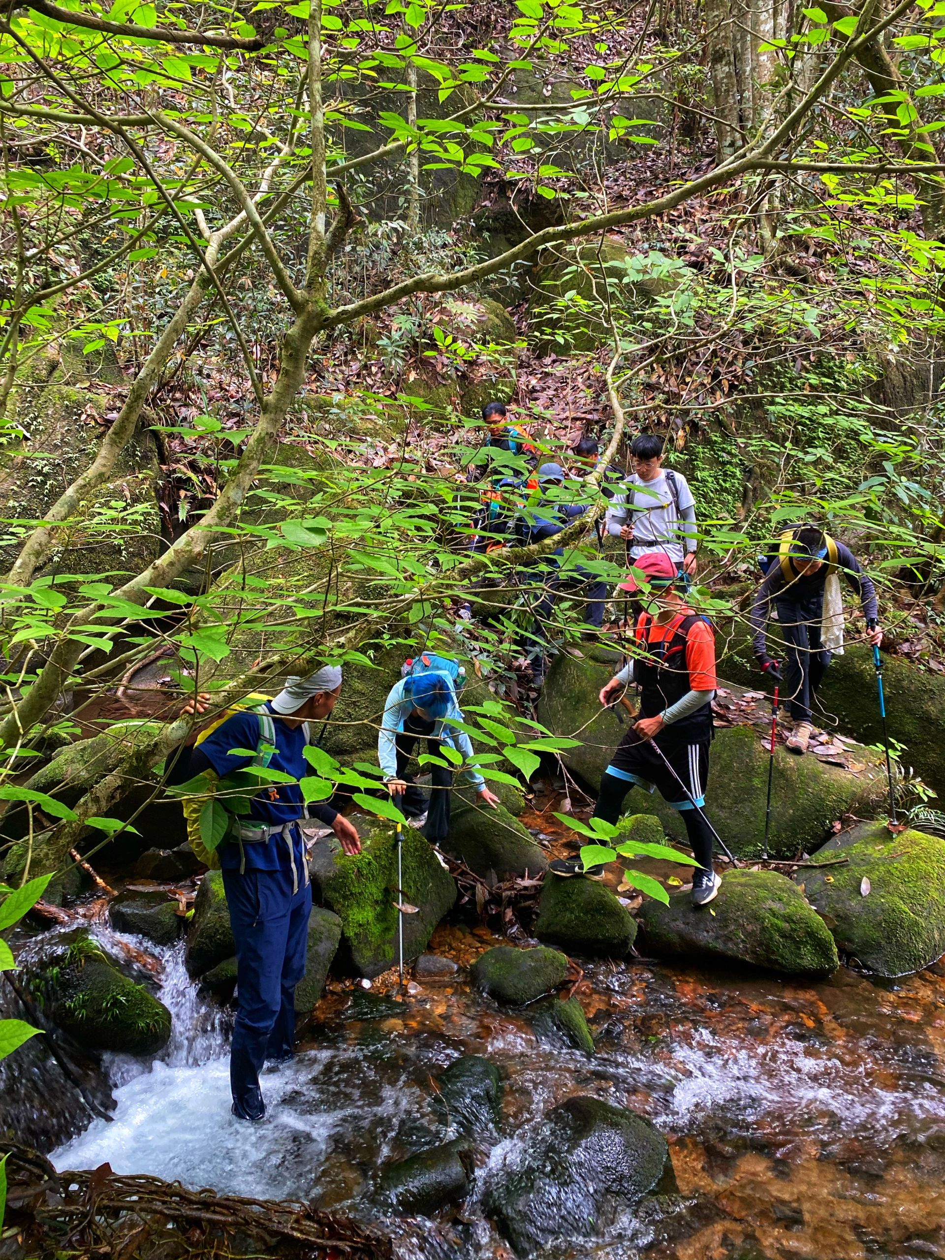 和大自然亲密接触｜徒步从化三黄线