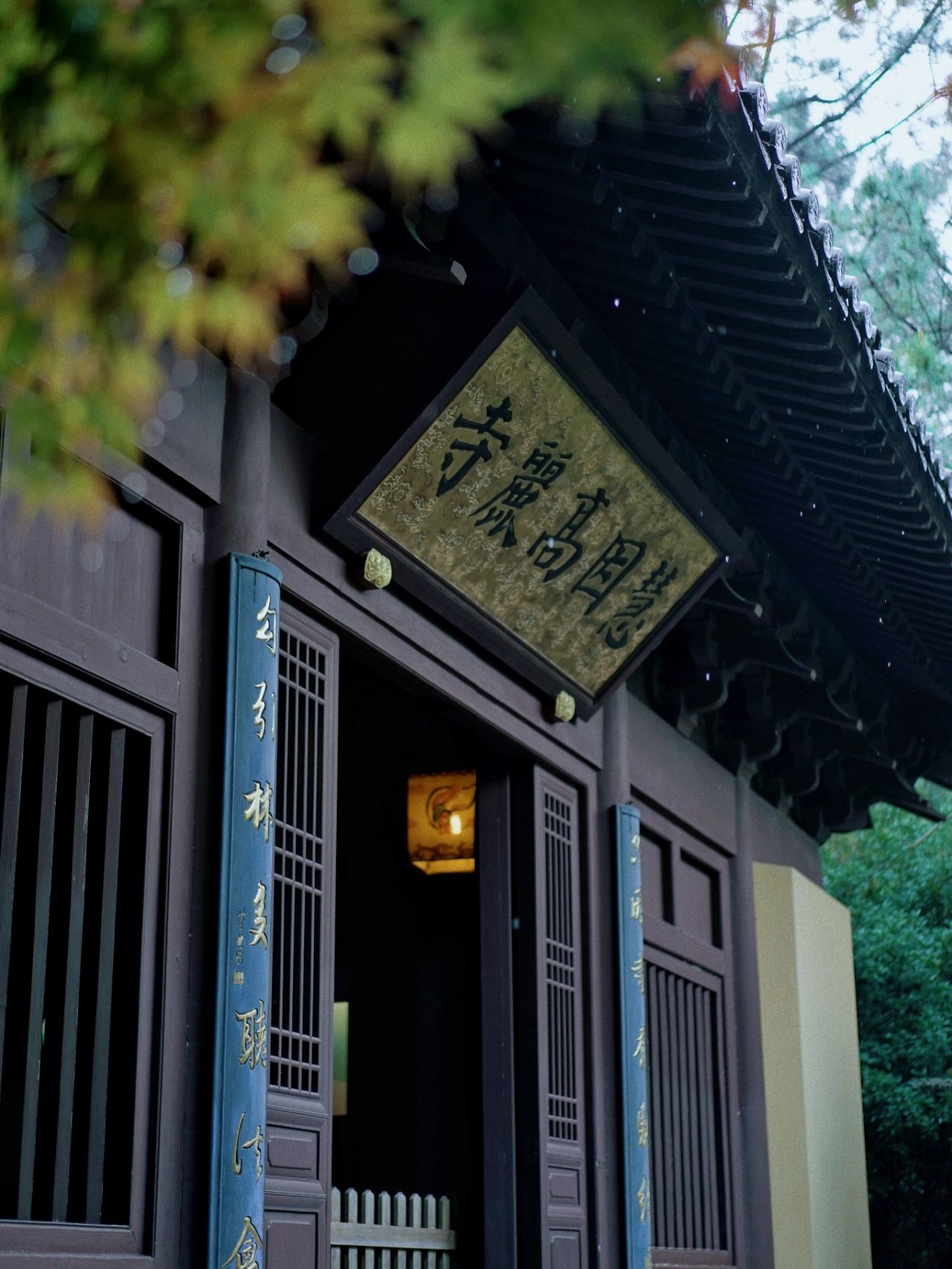 西湖边空无一人的绝美慧因高丽寺