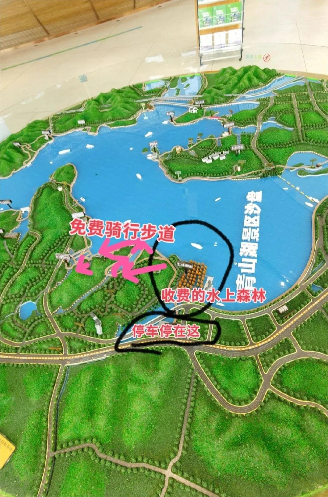 青山湖水上森林，闯进现实版绿野仙踪