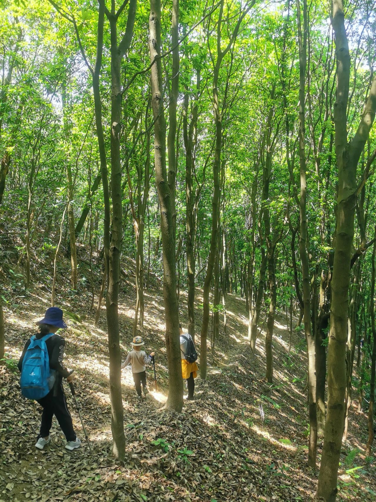 户外丨黄埔·牛头山至黄麻村