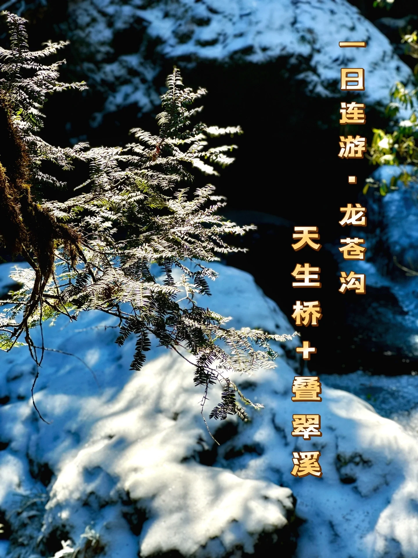 四川雅安·龙苍沟天生桥+叠翠溪1日游