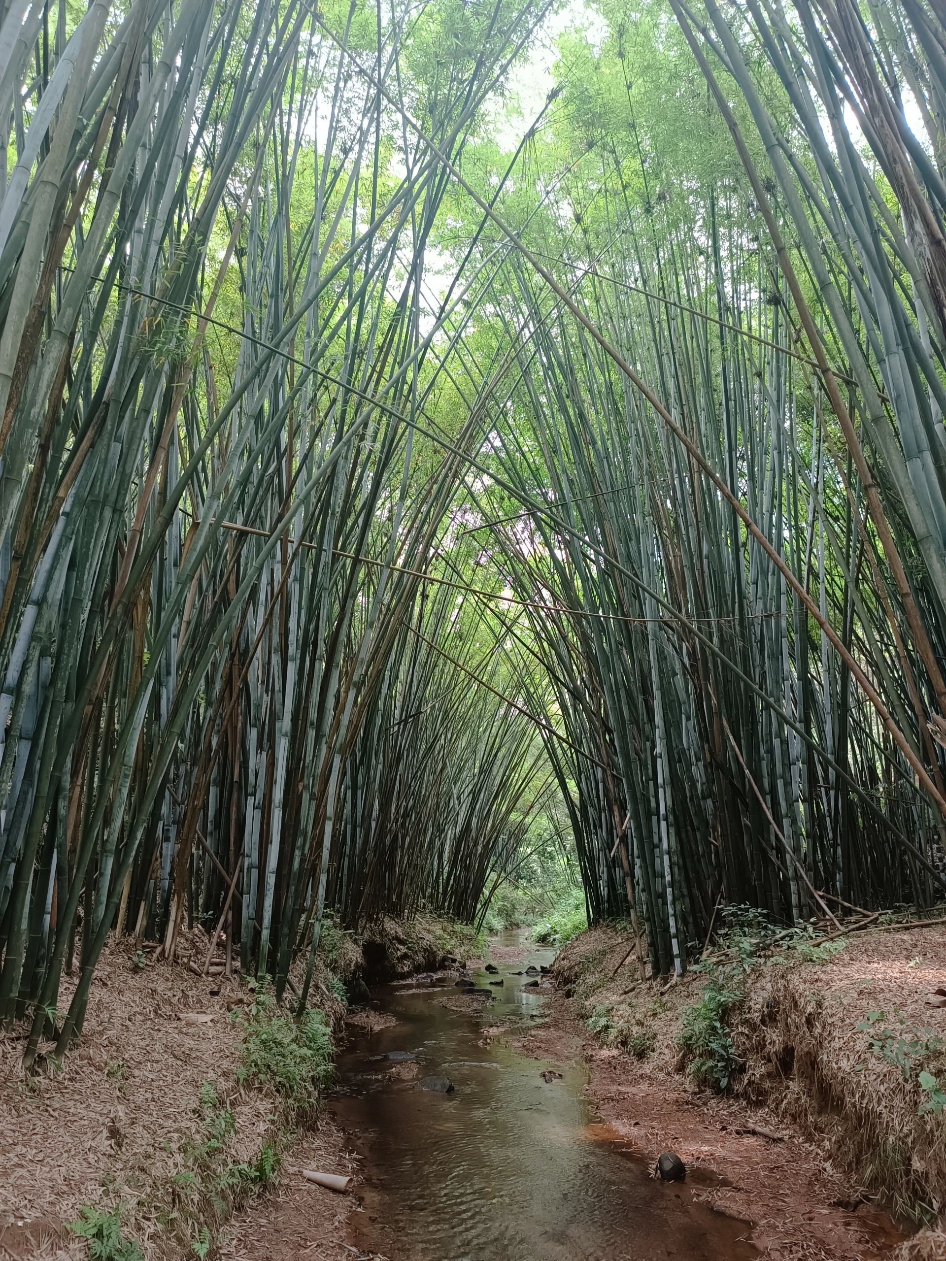 每周一山|五行线