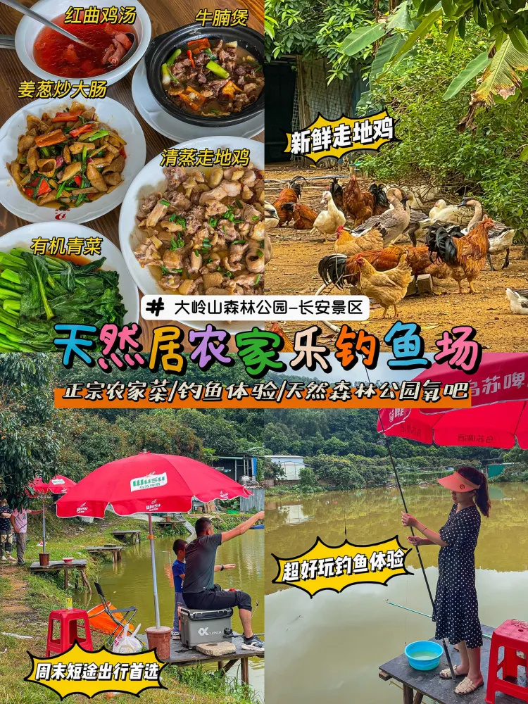 东莞旅游|森林公园农家乐一日游