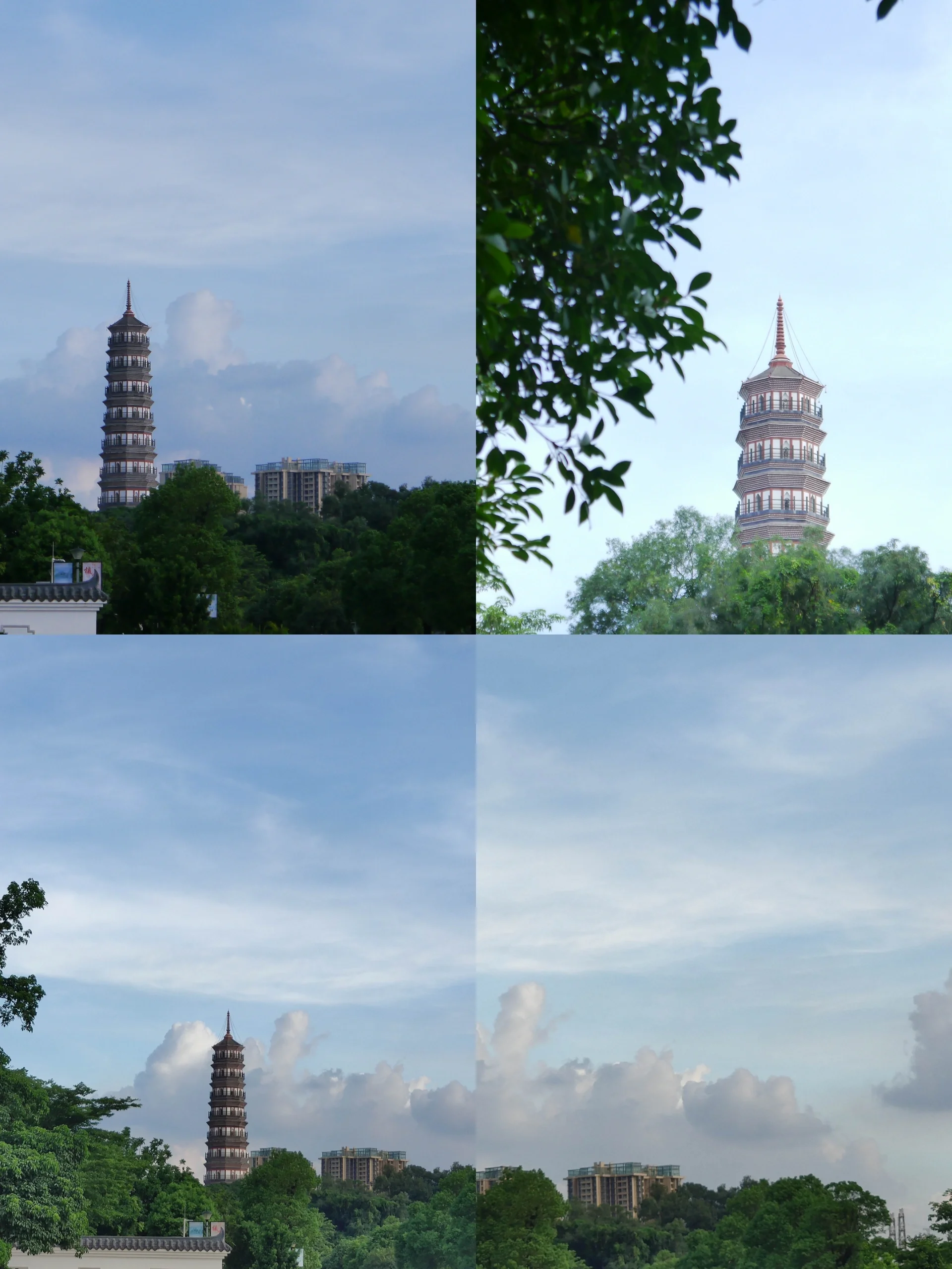📷广州周末露营-水博苑🐾
